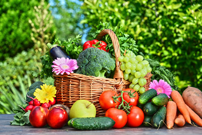 Manuale di Autocontrollo, adempimenti HACCP per ristoranti, bar, aziende e attività a Firenze, Prato e Toscana. Igiene alimentare e prezzi HACCP. Adempimenti ristoranti, obblighi settore alimentare in Toscana, Firenze, Prato, Empoli, Pistoia, Arezzo, Livorno, Pisa, Massa Carrara, Grosseto, Lucca