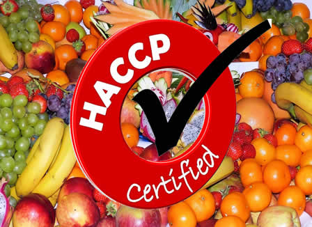 Igiene alimentare e HACCP a Firenze, Prato, Pistoia e Toscana. Richiedi i nostri servizi tecnici: Prezzi, Costi, Preventivi dei Corsi di formazione haccp, Piano di autocontrollo, Formazione per alimentaristi, Consulenza tecnica, Campionamenti microbiologici